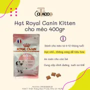 Thức ăn hạt cho mèo con Royal Canin Kitten 400gr và 2kg-Catwood