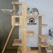 Cattree gỗ cao su