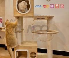 HƯỚNG DẪN CHỌN TRỤ CÀO MÓNG CHO MÈO CHI TIẾT TỪ A - Z