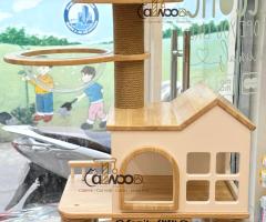 Cây cào móng cho mèo - Nội thất thông minh giúp mèo vui chơi