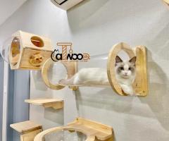 Top 5 Pet Shop Quận 1 Uy Tín Nhất – Địa Chỉ Không Thể Bỏ Qua