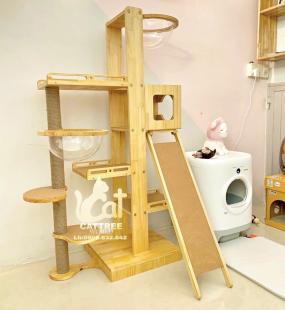 cattree gỗ thông