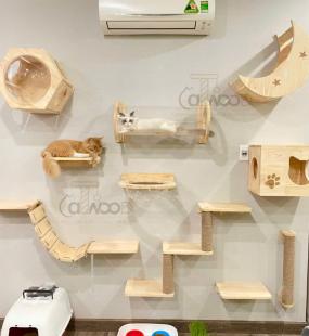 MÃ CW ống chui 