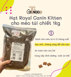  Thức ăn hạt cho mèo con ROYAL CANIN KITTEN túi chiết
