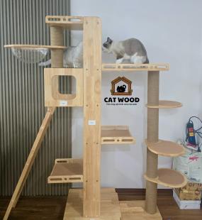 Cattree gỗ cao su