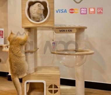 HƯỚNG DẪN CHỌN TRỤ CÀO MÓNG CHO MÈO CHI TIẾT TỪ A - Z