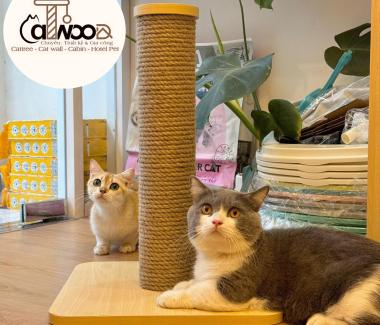 LỰA CHỌN CHẤT LIỆU GÌ ĐỂ LÀM NỘI THẤT CHO MÈO