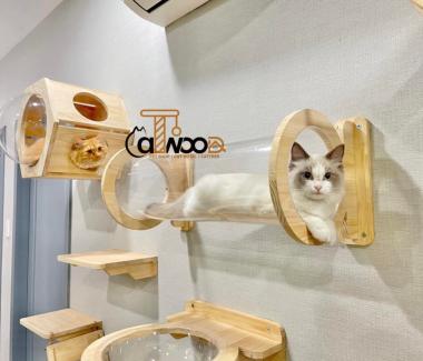 Top 5 Pet Shop Quận 1 Uy Tín Nhất – Địa Chỉ Không Thể Bỏ Qua