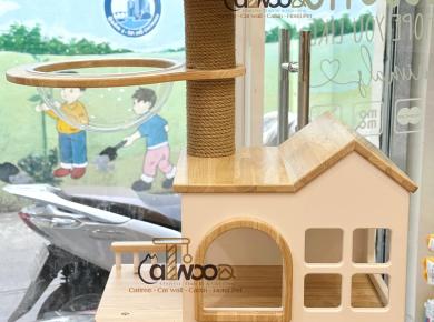 Cây cào móng cho mèo - Nội thất thông minh giúp mèo vui chơi