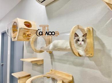 Top 5 Pet Shop Quận 1 Uy Tín Nhất – Địa Chỉ Không Thể Bỏ Qua