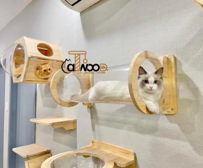 Top 5 Pet Shop Quận 1 Uy Tín Nhất – Địa Chỉ Không Thể Bỏ Qua