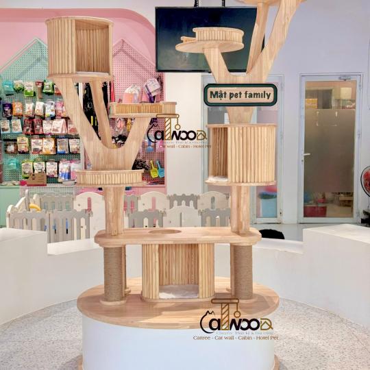 Mã Cattree Center