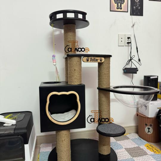 Mã CW07 phối màu theo yêu cầu