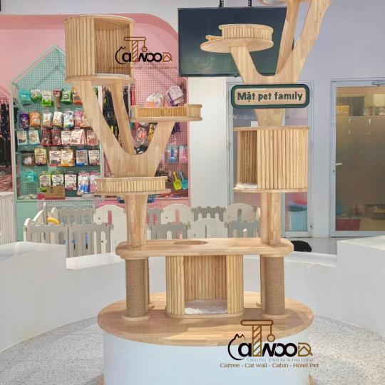Mã Cattree Center