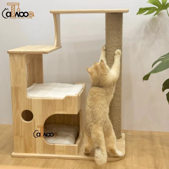 Sleep box gỗ cao su