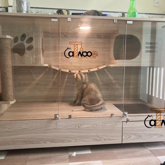 Mã CB01 form ngang