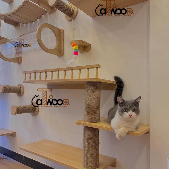 Mã CW melamine tối giản