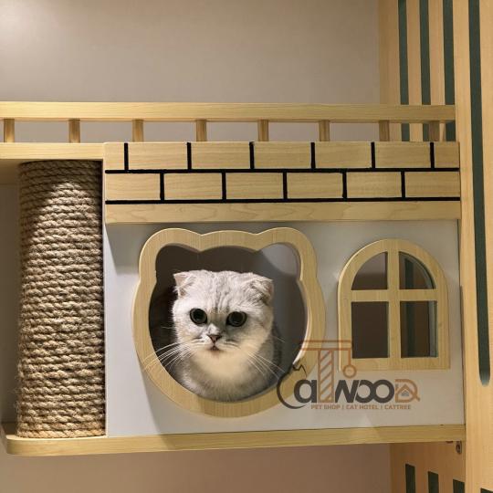 Mã cabin CB06