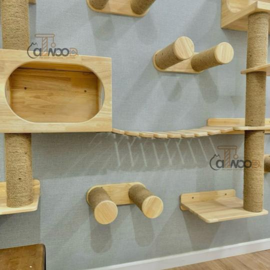 MÃ CW basic