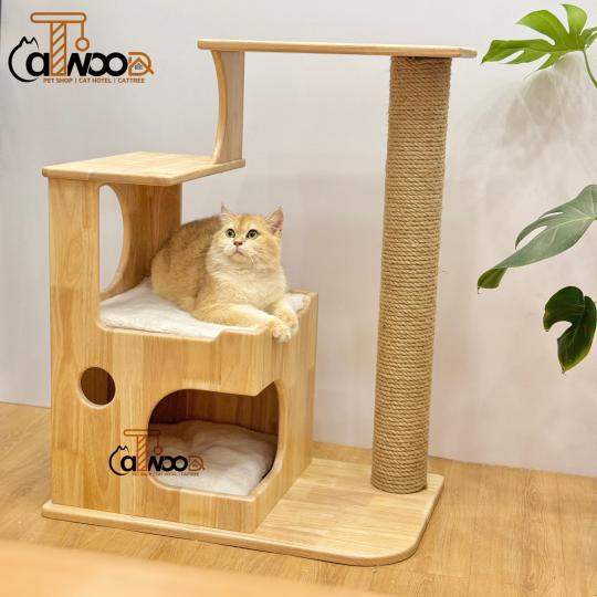 Sleep box gỗ cao su