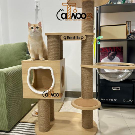 Mã CW07