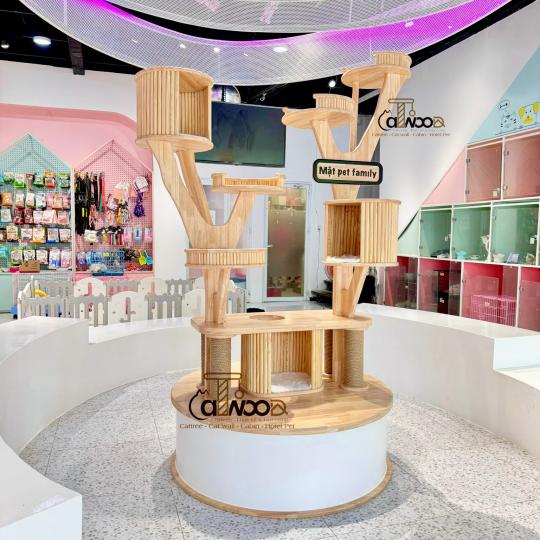 Mã Cattree Center