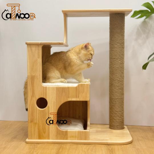 Sleep box gỗ cao su