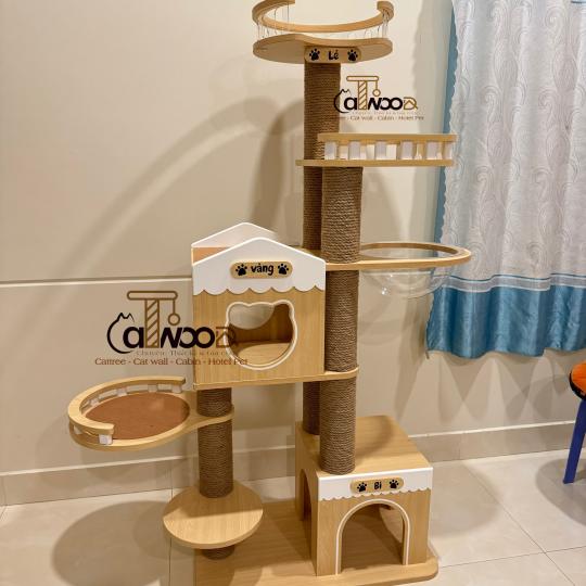 Mã CW09