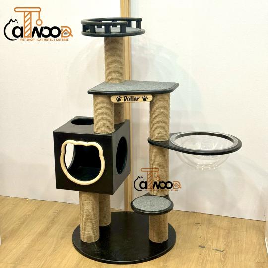 Mã CW07 phối màu theo yêu cầu