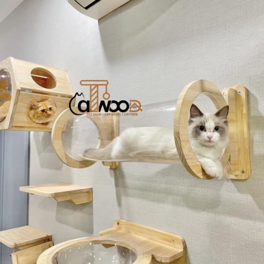 MÃ CW ống chui 