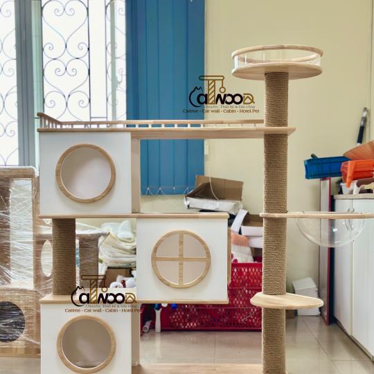 Mã CS08 high-end