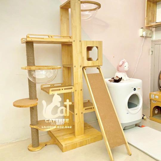 cattree gỗ thông