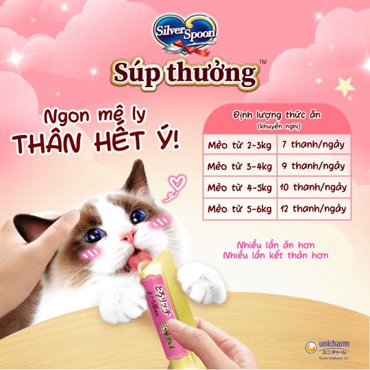 Súp thưởng Silverspoon cho mèo