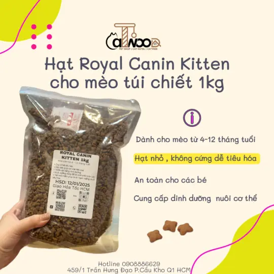  Thức ăn hạt cho mèo con ROYAL CANIN KITTEN túi chiết
