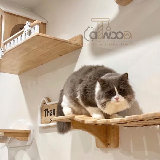 Catwall mây trời