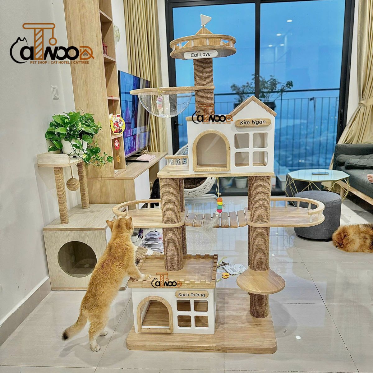 NỘI THẤT CHO MÈO